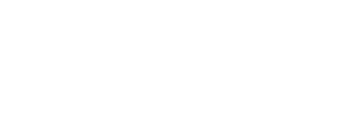 SSEo Logo